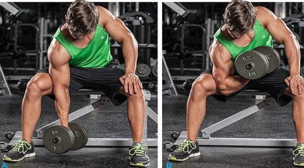 Exercises to build bigger arms