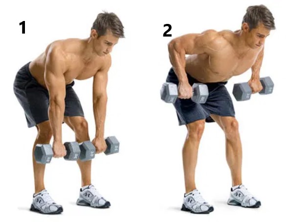 upper back exercises
