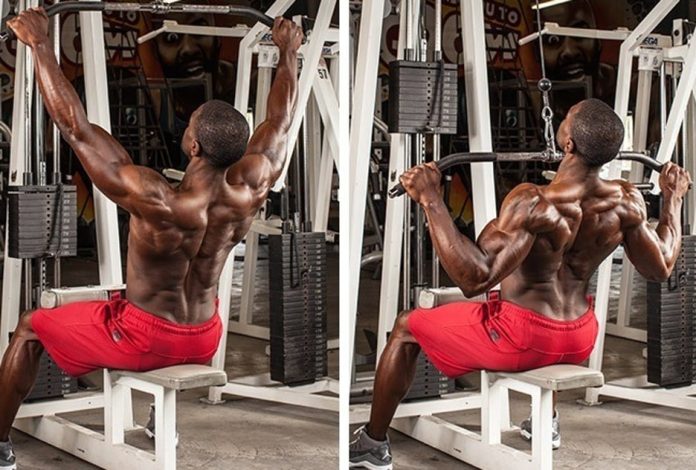 Dumbbell Back Workout - Why is it good for you?